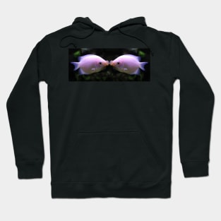 Give Me A Kiss - Kissing Fish Hoodie